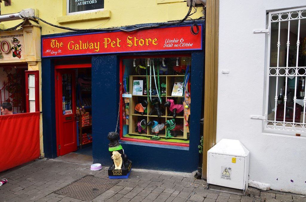 Galway The Pet Store ThR37 Flickr