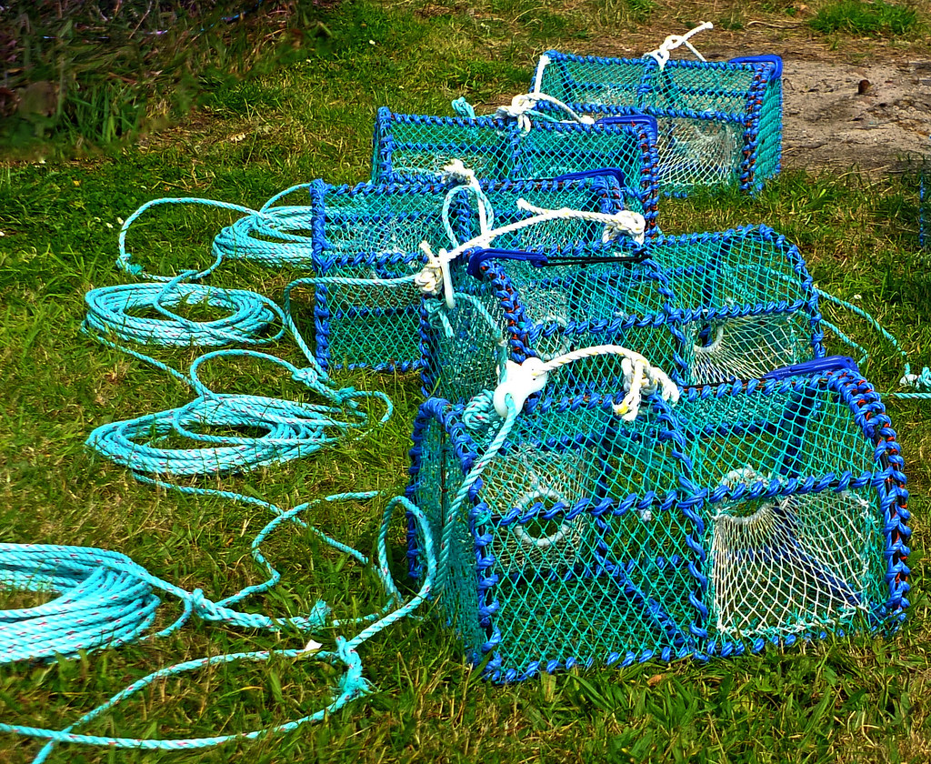 Lobster Pots wivvy is getting there. Flickr