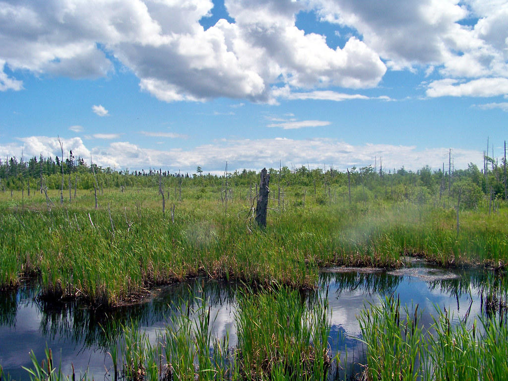 Portage, PEI July 8, 2012 Larry Flickr