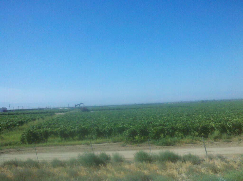 Bakersfield Vineyards Vineyard in Bakersfield, California … Flickr