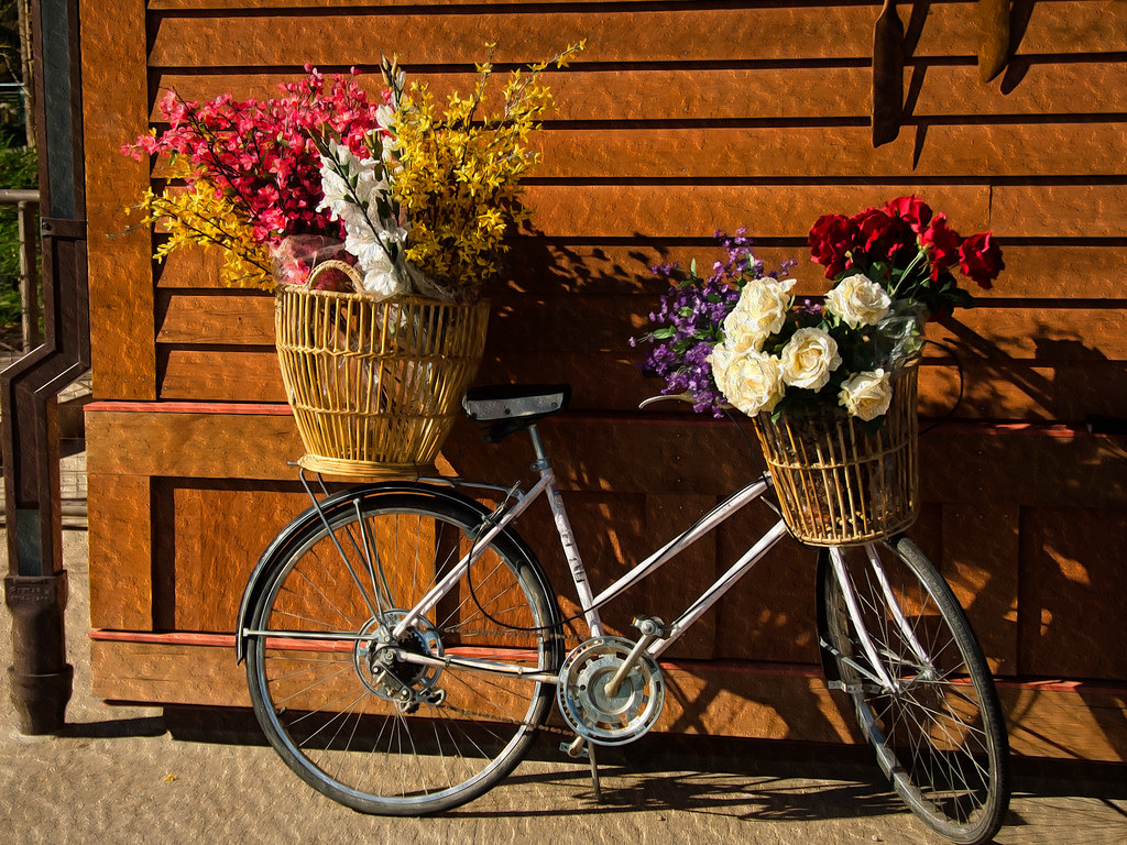 Delivery Color new CS6 Oil Paint effect. I kinda dig it. Andrej