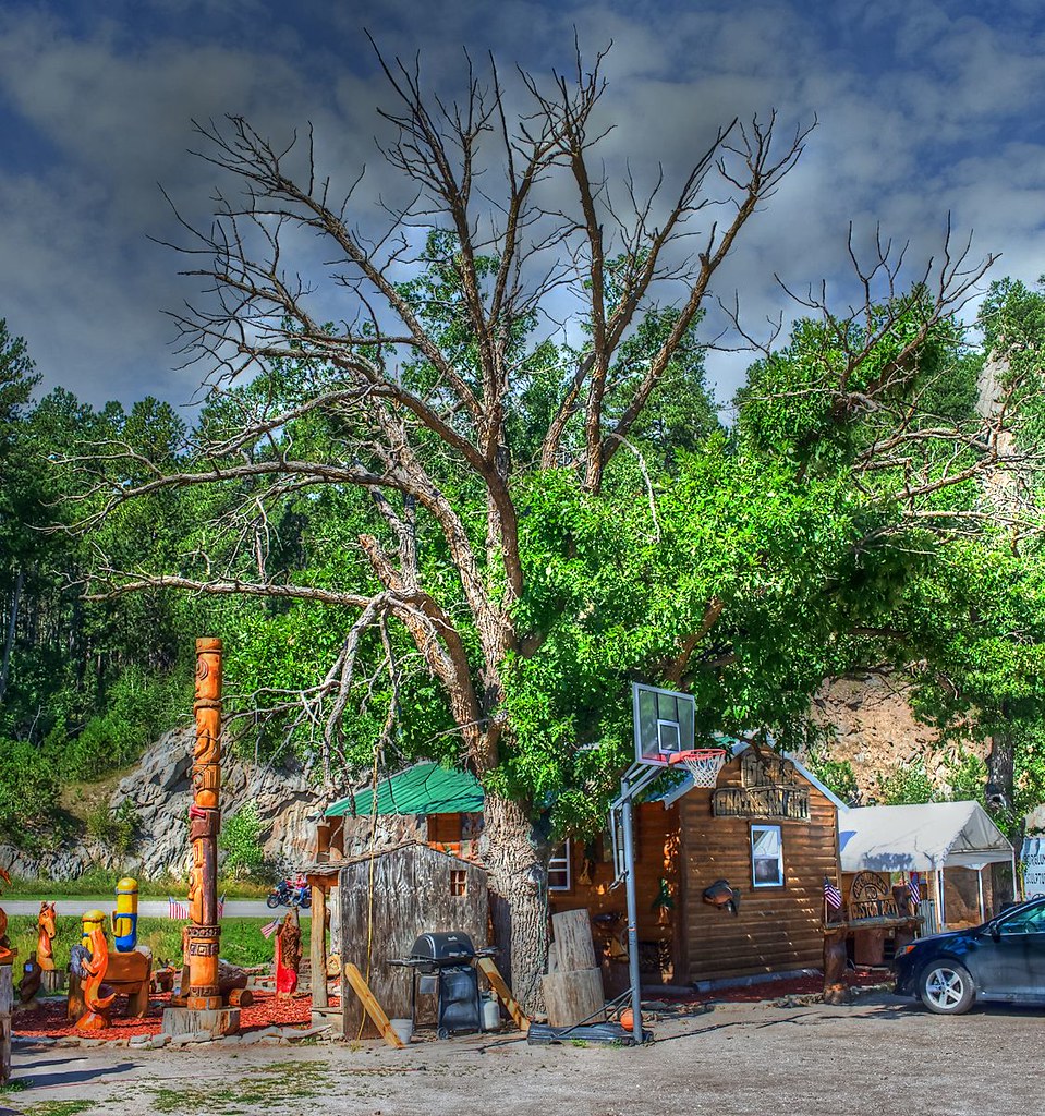 2016 Sturgis Run Tree at the woodcarver's place Kirk M. Rogers Flickr