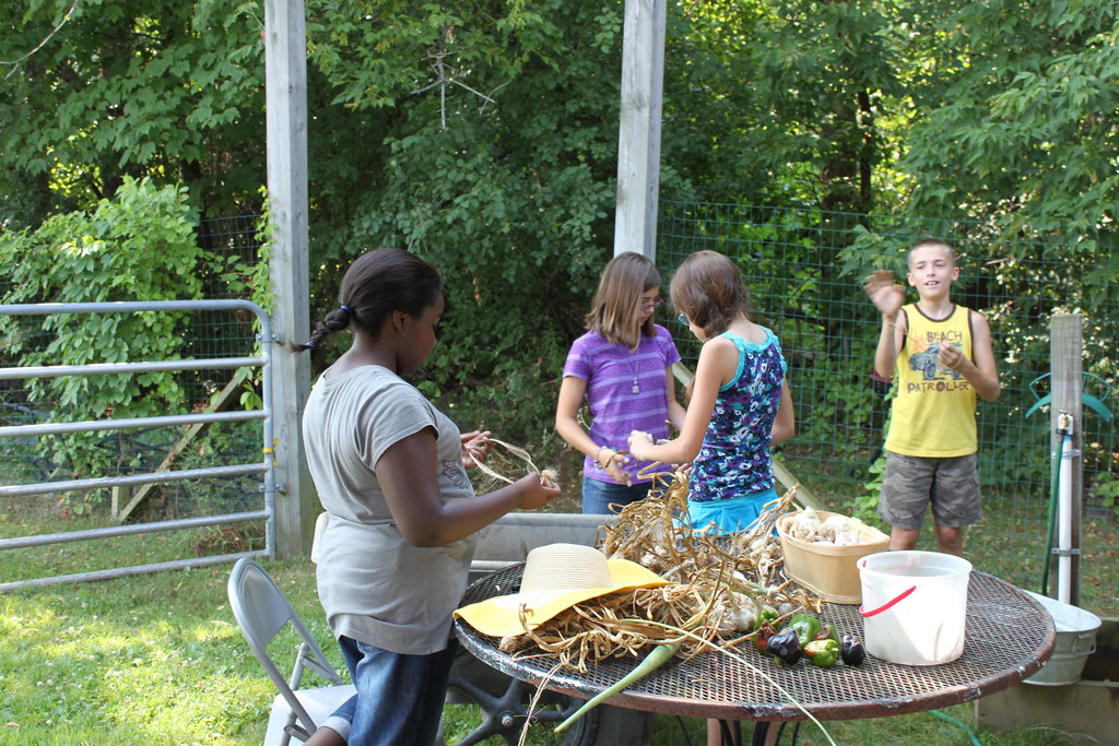garden 005 East Greenbush Central School District Flickr