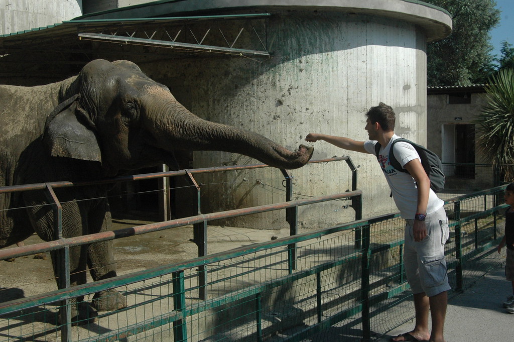 Zoo Pistoia 2012 Visita allo zoo di Pistoia Giugno 2012 Daniele