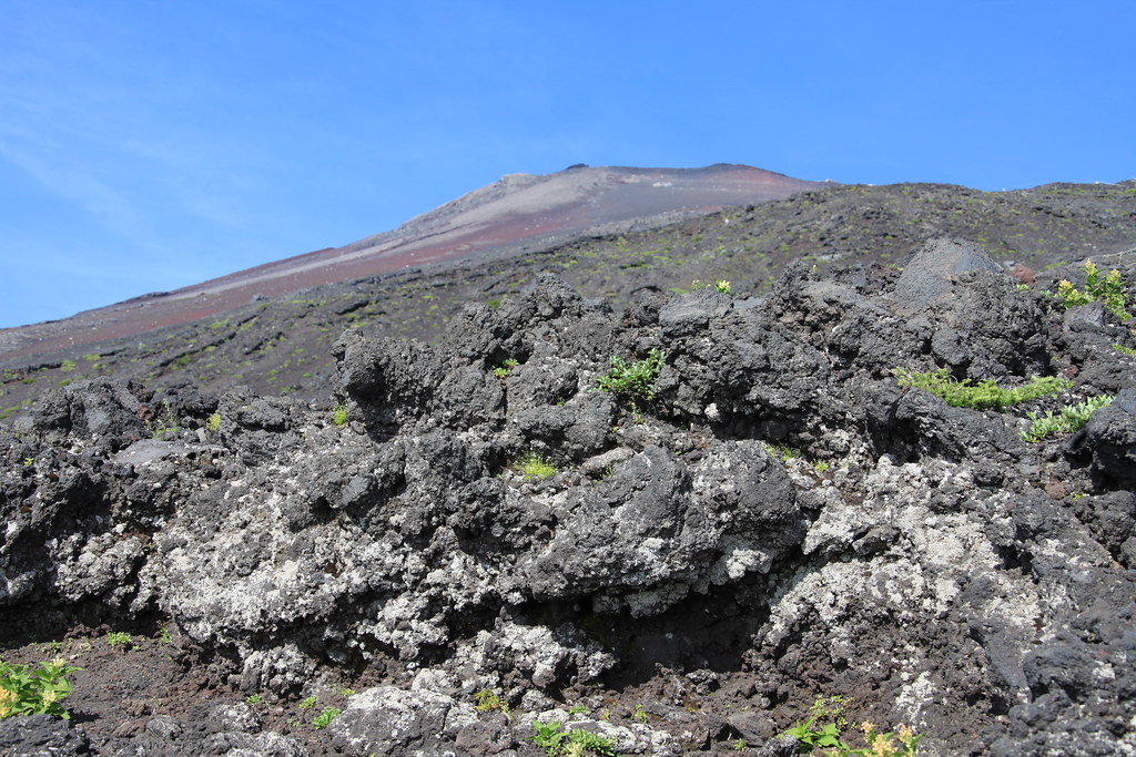 Mt. Fuji and lava 2 The last eruption took place more than… Flickr