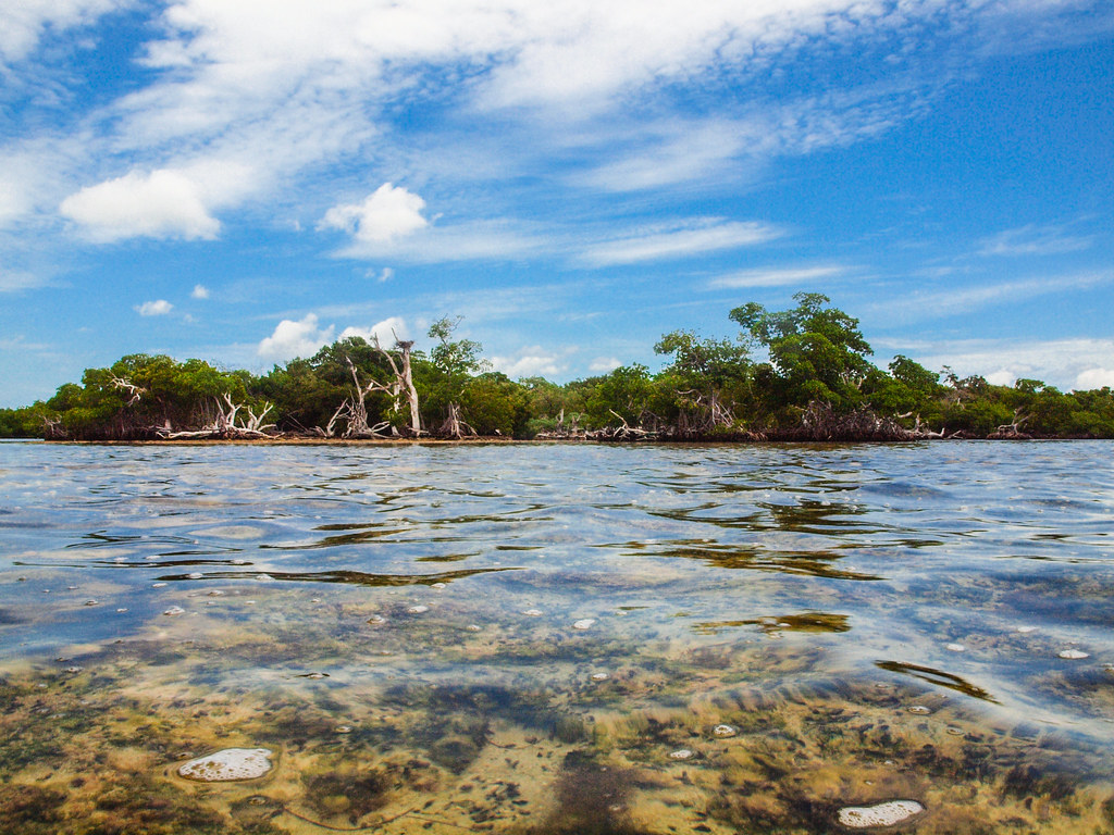 Long Beach Newfound Harbor Key a photo on Flickriver