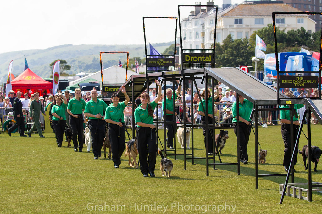 Essex Dog Display Team29.jpg Graham Huntley Flickr