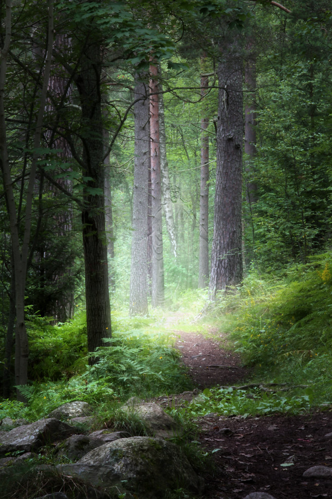 Sacred ground Torkel Kylberg Flickr