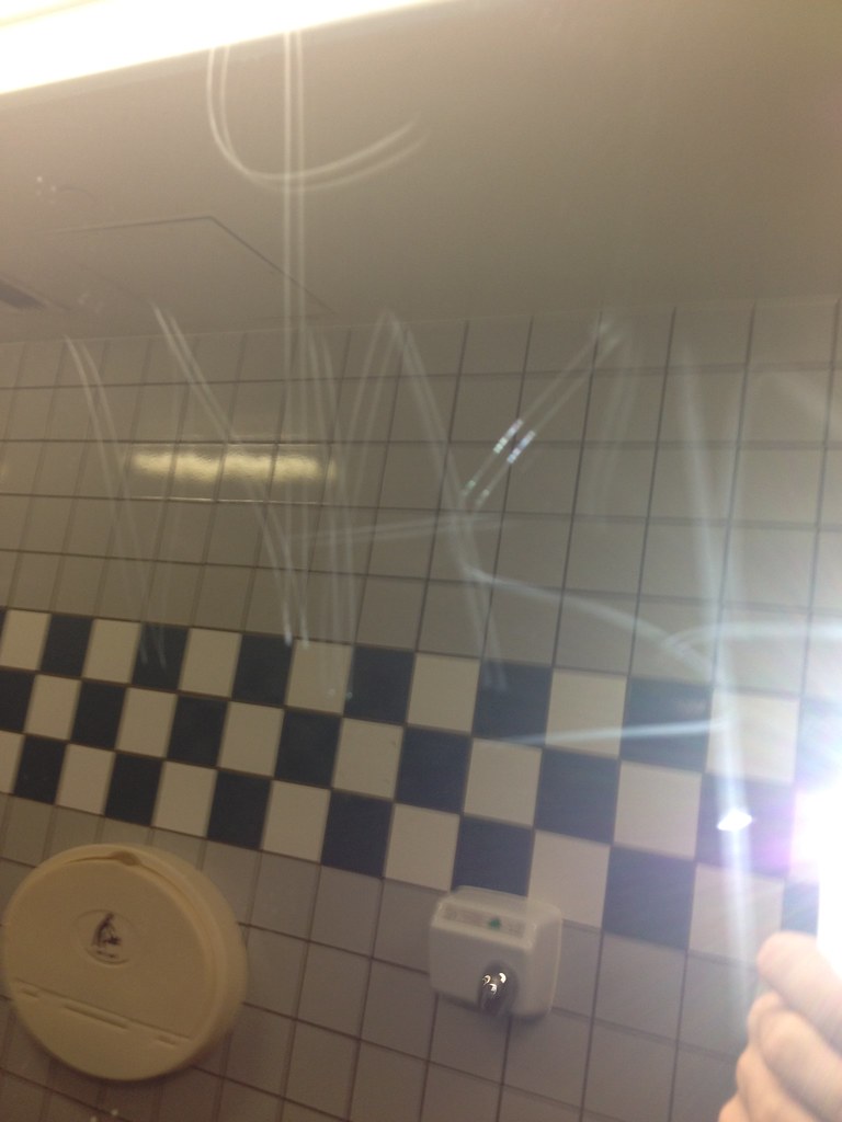 wasp syw wasp hitting mirrors in meijer saerkrm Flickr