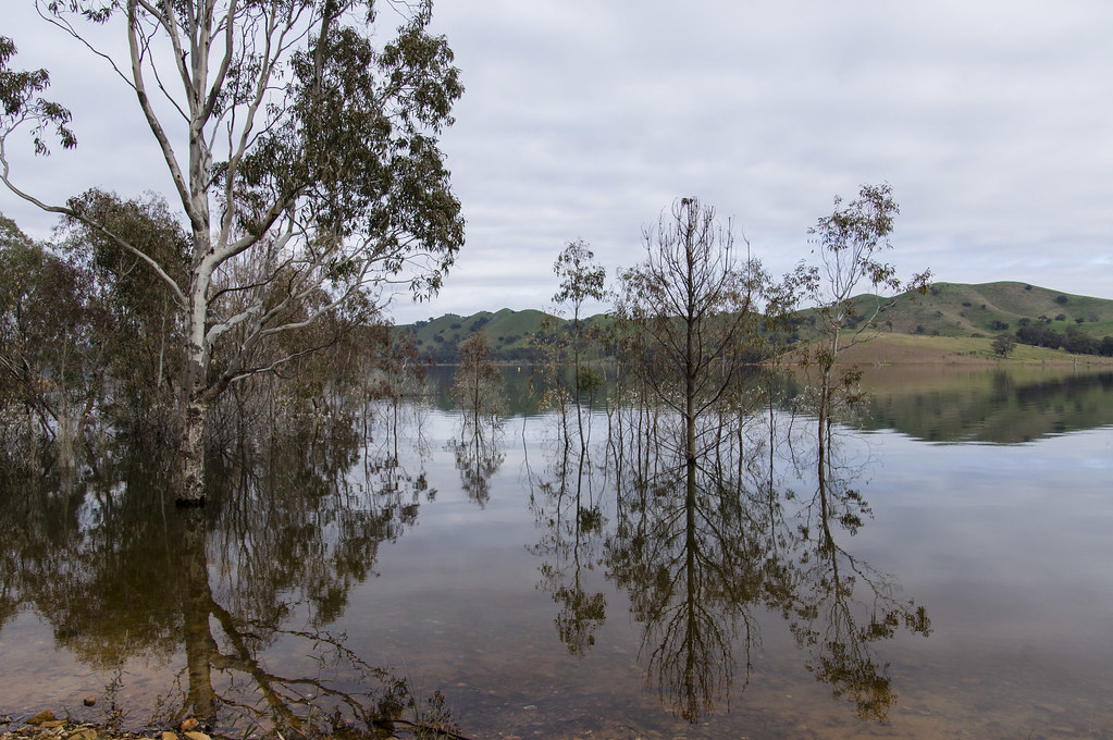 Lake Eildon Flickr