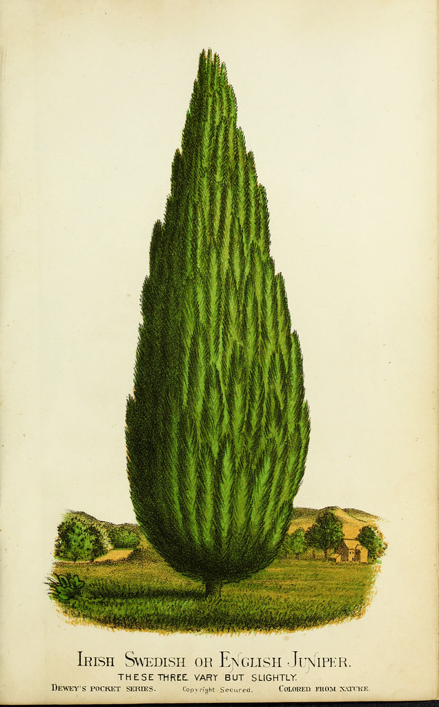 The nurseryman's pocket specimen book Public Domain The n… Flickr