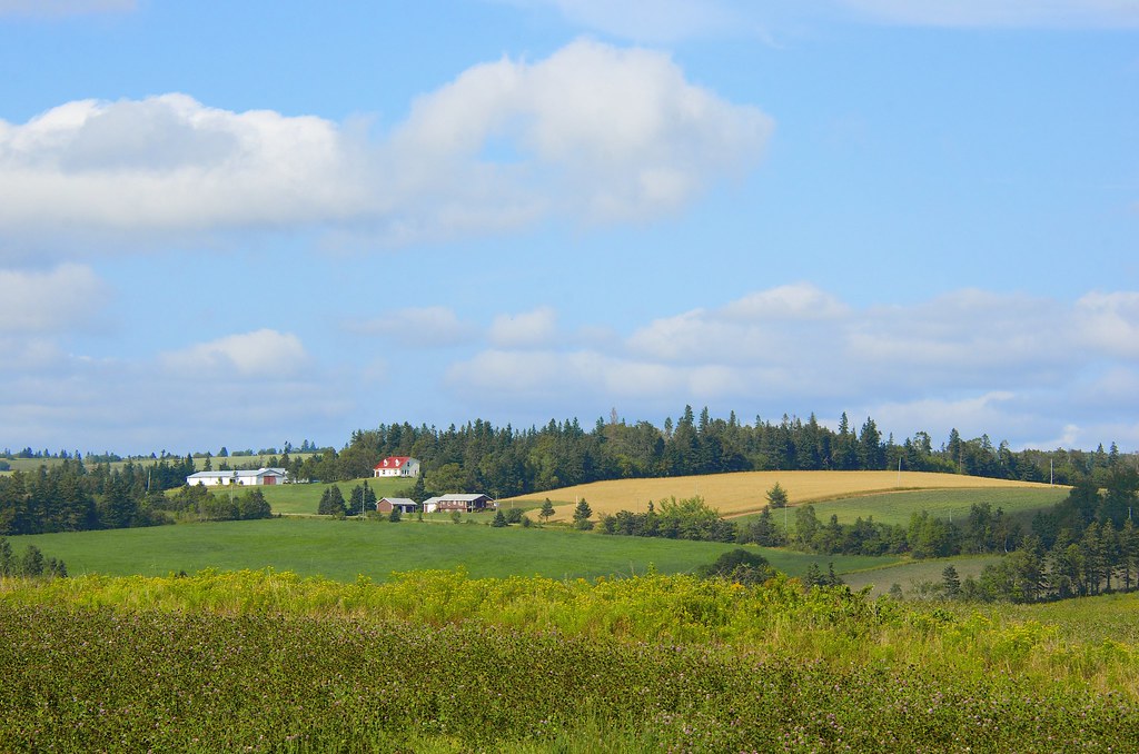 The rolling hills of Queens County PEI Prince Edward Islan… Jamie