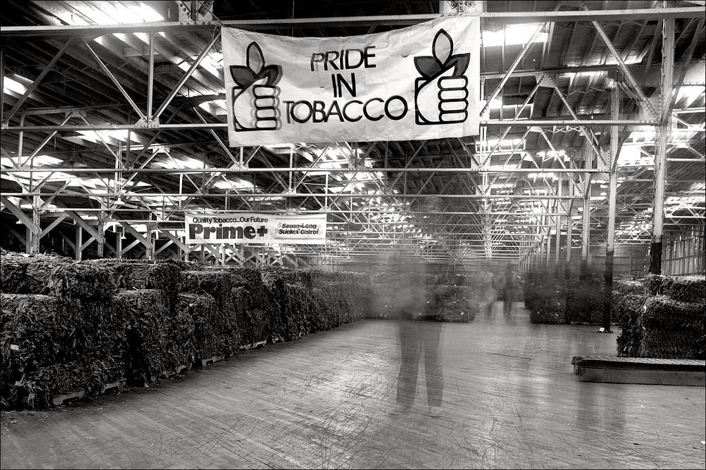 Growers Warehouse, Shelbyville Growers Burley Tobacco Whse… Flickr