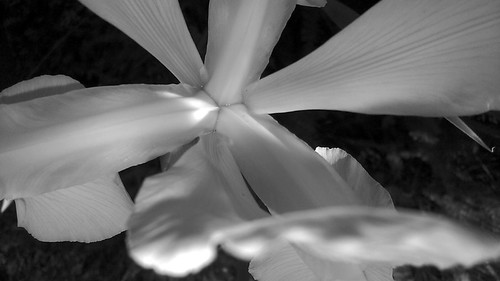 tri 7 | sharonkgrace2017 | Flickr