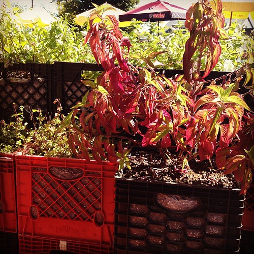 Milk crates with plastic bag liners...genius idea for a mo… Flickr