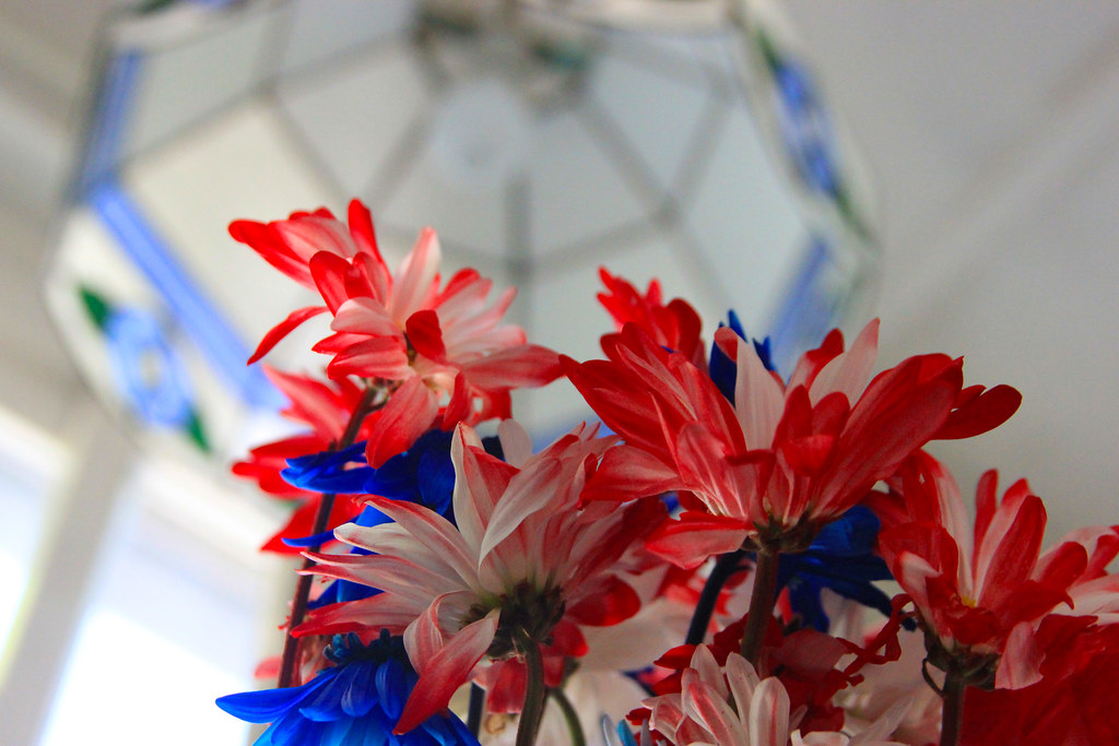 Wilted Flowers Wilted Flowers on my porch. LuAnn Snawder Photography Flickr