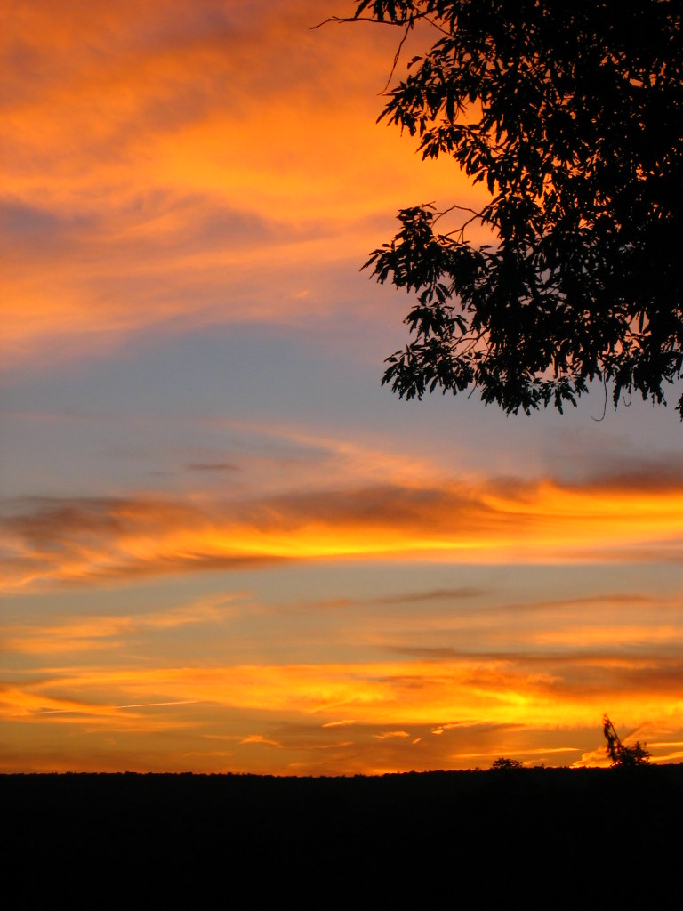 Sunset At Vanderbilt Mansion View of sunset from behind se… Flickr