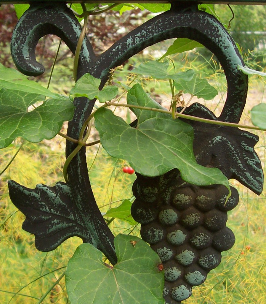 WROUGHT IRON GRAPES The entrance to my wild garden LinBow Flickr