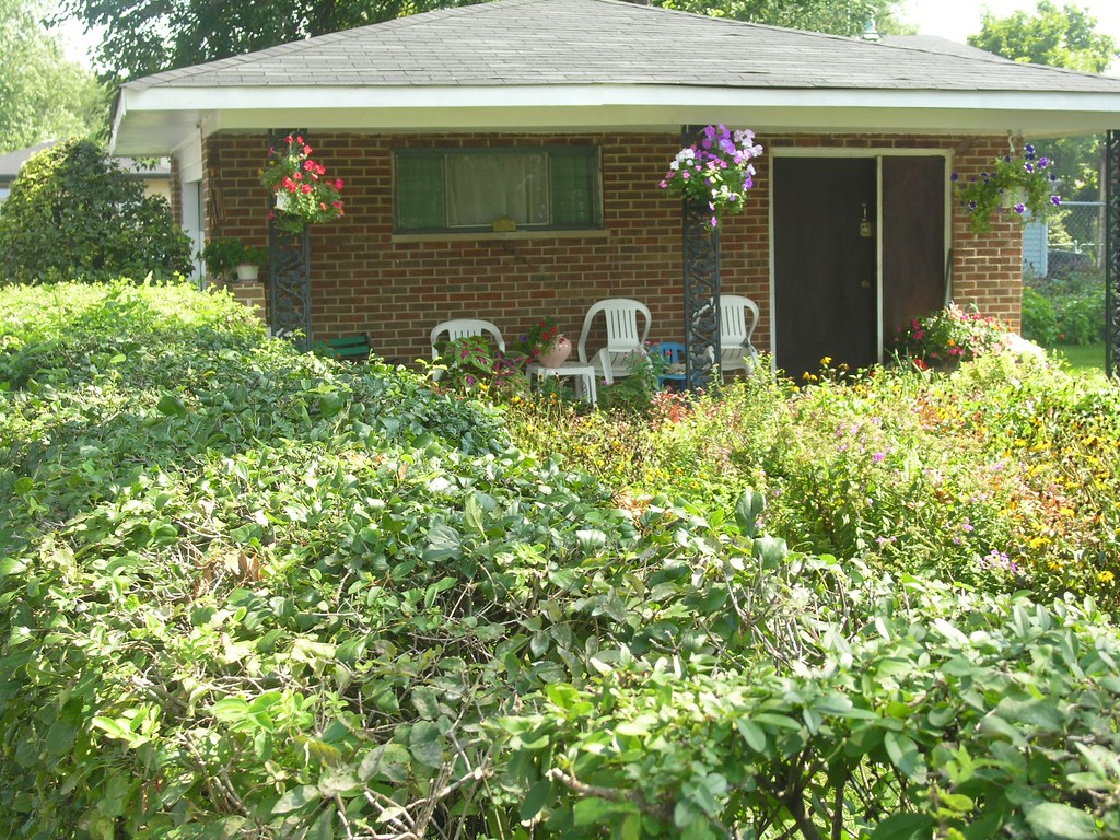 Marynook yard Get a fresh take on homes, neighborhoods and… Flickr