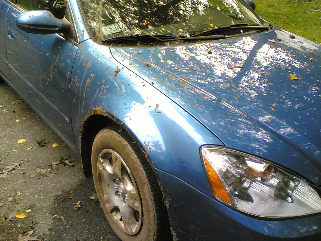 Aftermath of Terryville Fair The parking lot, she was mudd… Flickr