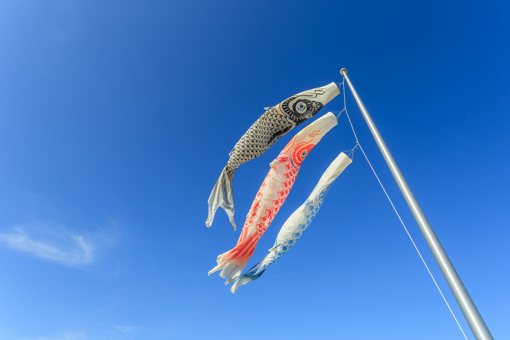 Fish fly in the sky 魚が空を飛ぶ ChihChing Hsieh Flickr