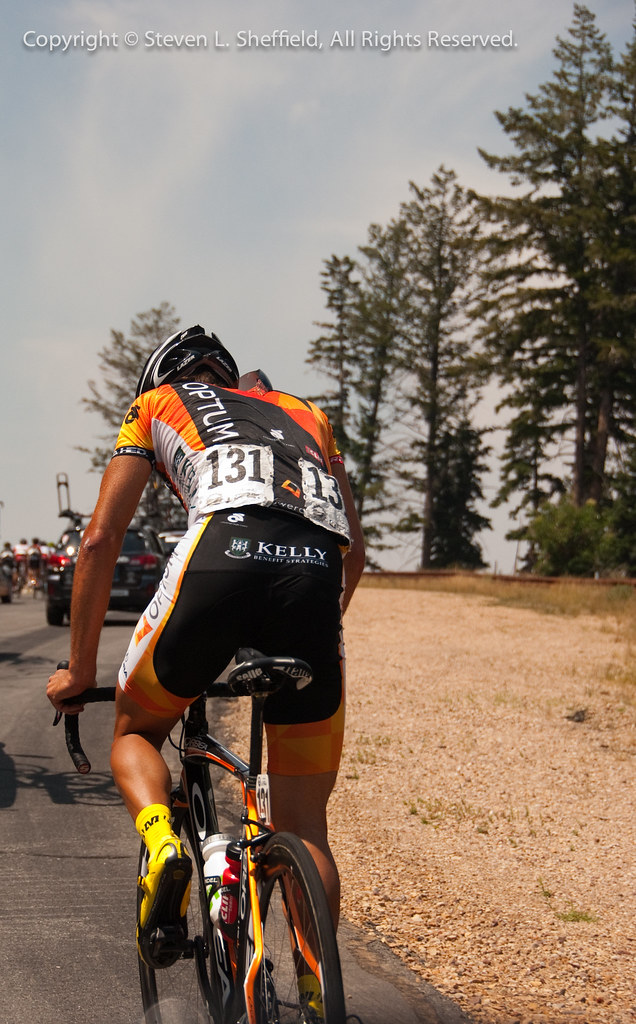 DSC_0039 Steven Sheffield Flickr