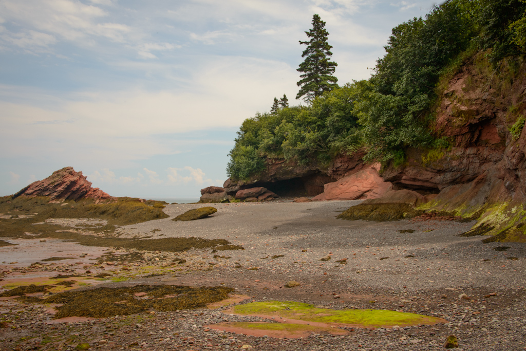 Brown's Beach West Quaco, NB Scott Anderson Flickr