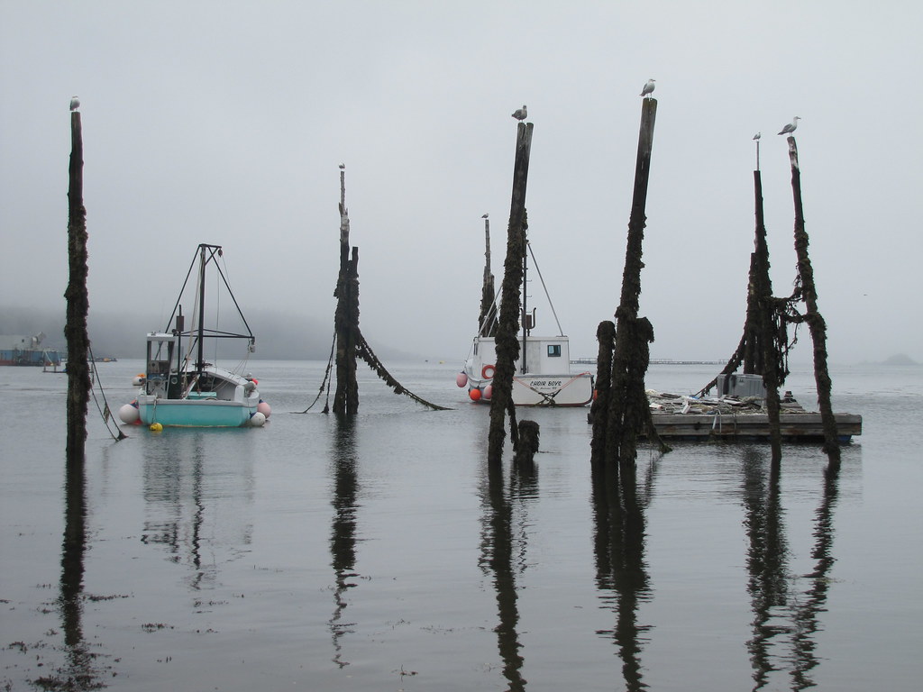 IMG_3821 Beaver Harbour, New Brunswick, Canada. Ullysses Flickr