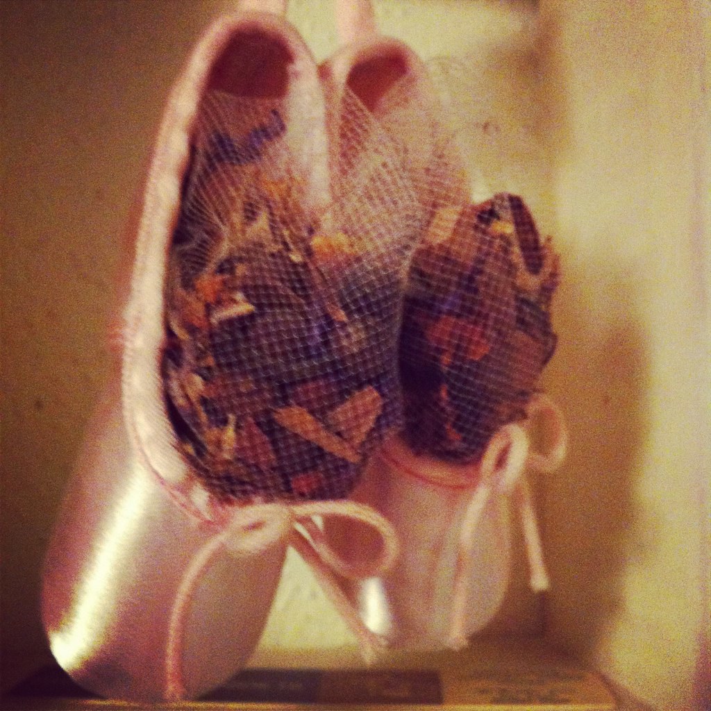 Tiny Ballet shoes Anna Hanks Flickr