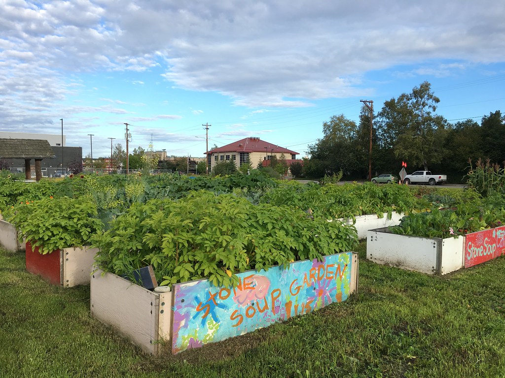 Fairbanks AK Stone Soup Garden About a 5 min walk from o… Flickr