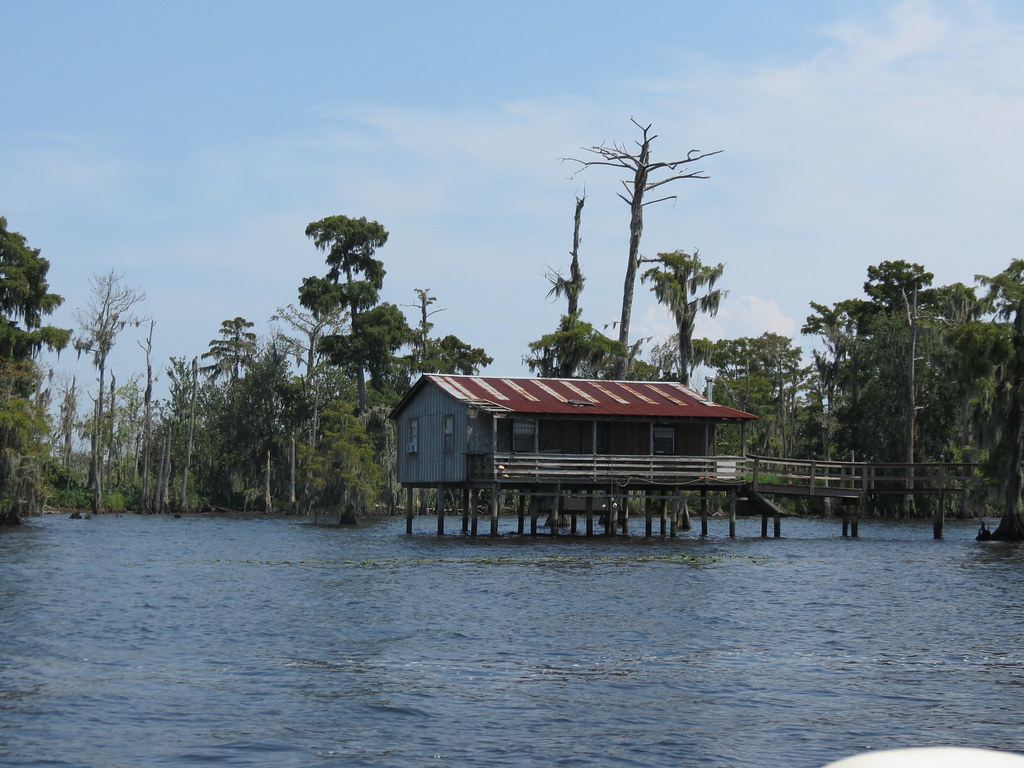 Tickfaw River Springfield. Louisiana Francesco Flickr
