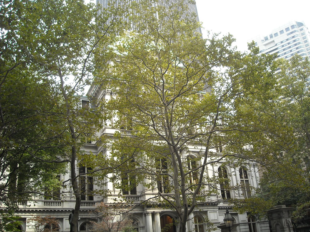 DSCN3574 Old City Hall School Street between Tremont Stree… Flickr