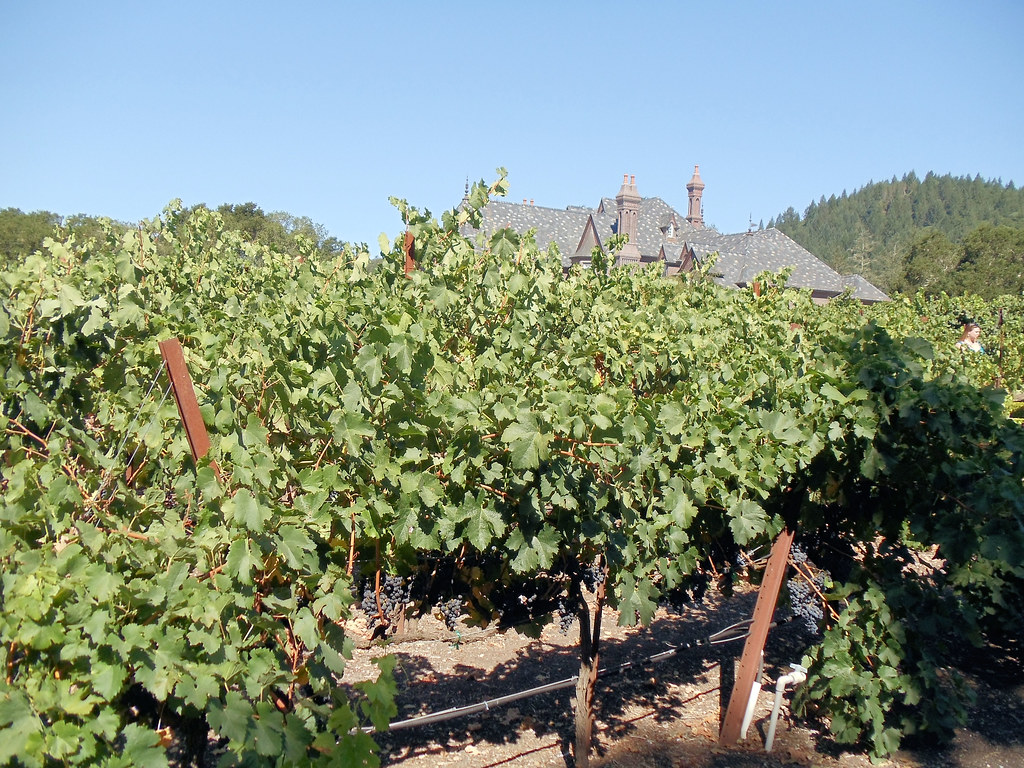 Ledson Winery and Vineyards, Santa Rosa, California, USA Flickr