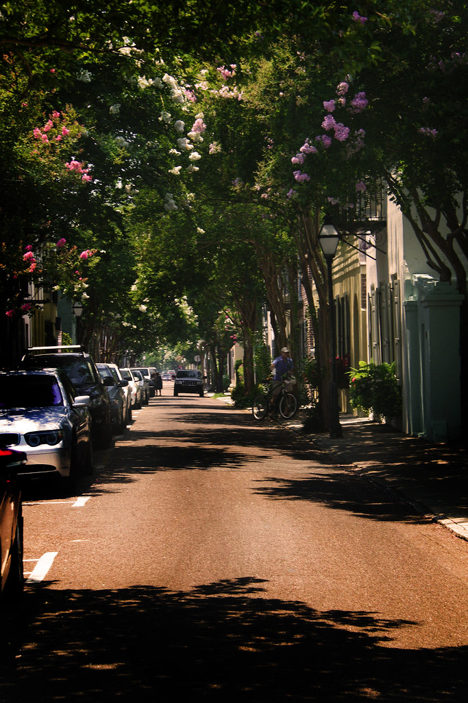 Picturesque Charleston A quaint little side street in Char… Flickr