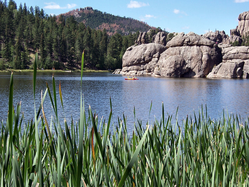 Black Hills, SD Flickr