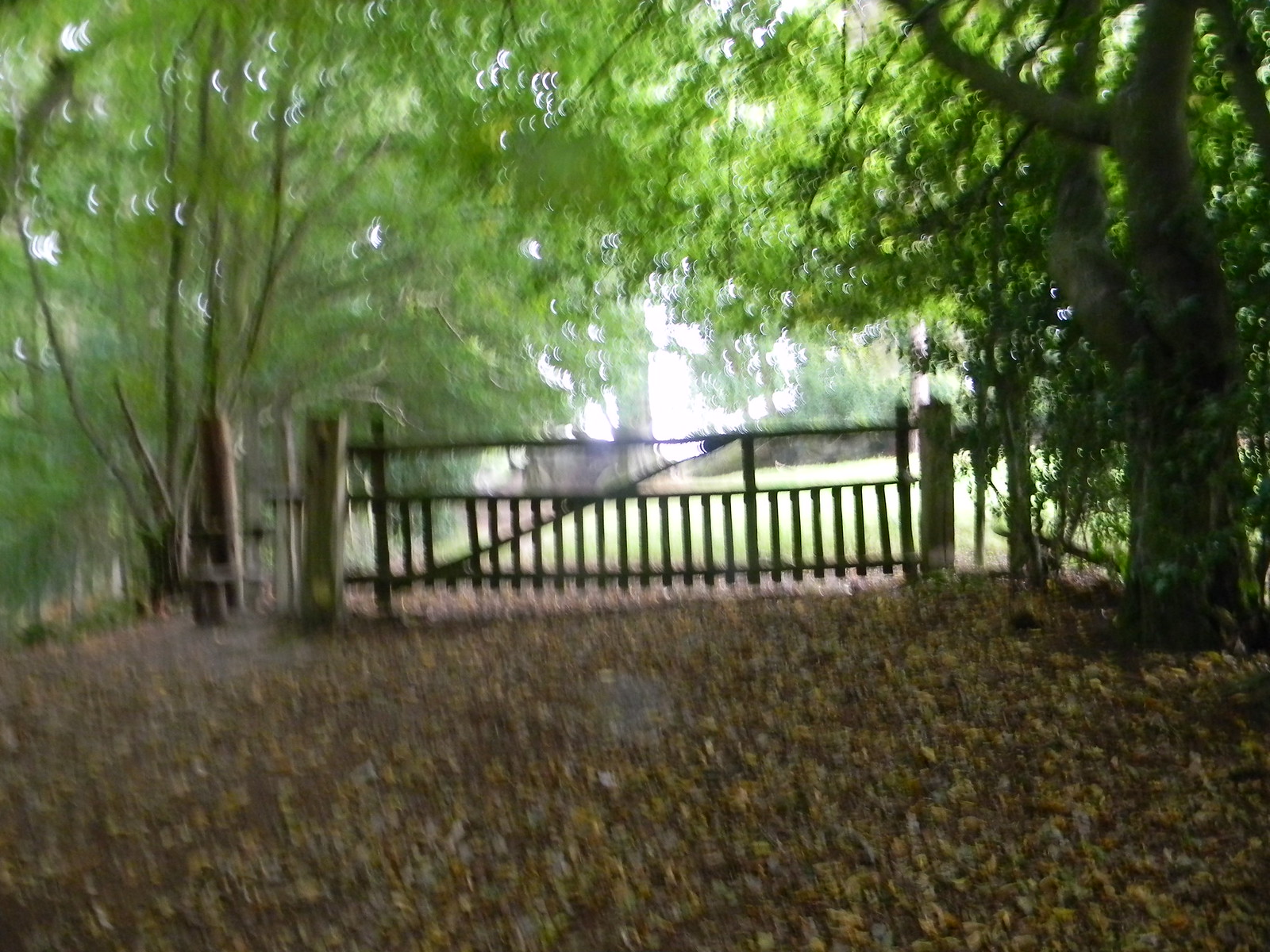 Photos Eridge to Forest Row and East Grinstead Walk SWC