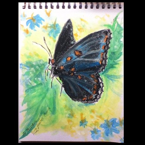 Oil pastel and watercolor butterfly (based off one of my e… Flickr