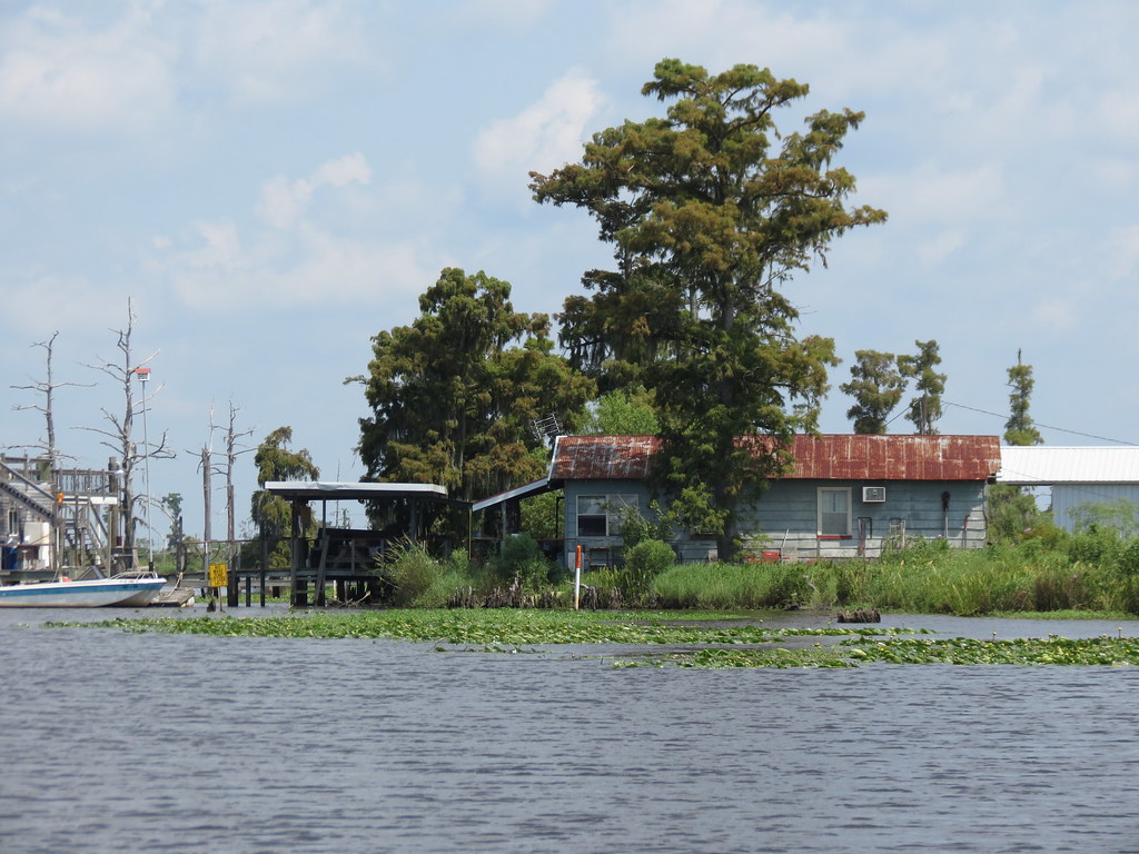 Lake Maurepas Lake Maurepas, Louisiana Francesco Flickr