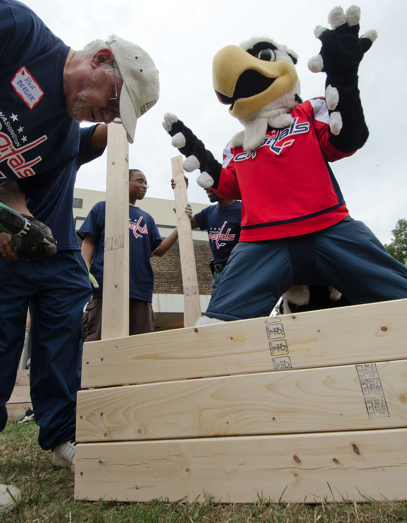 20120825DMLSC0282 Washington Capitals' hockey mascot Sl… Flickr