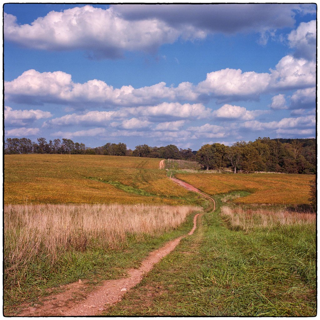 Schaeffer Farms Germantown, MD a photo on Flickriver