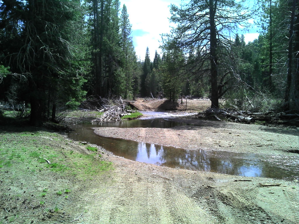 DSC00037 El Dorado National Forest, Morristown pmrowczynski Flickr