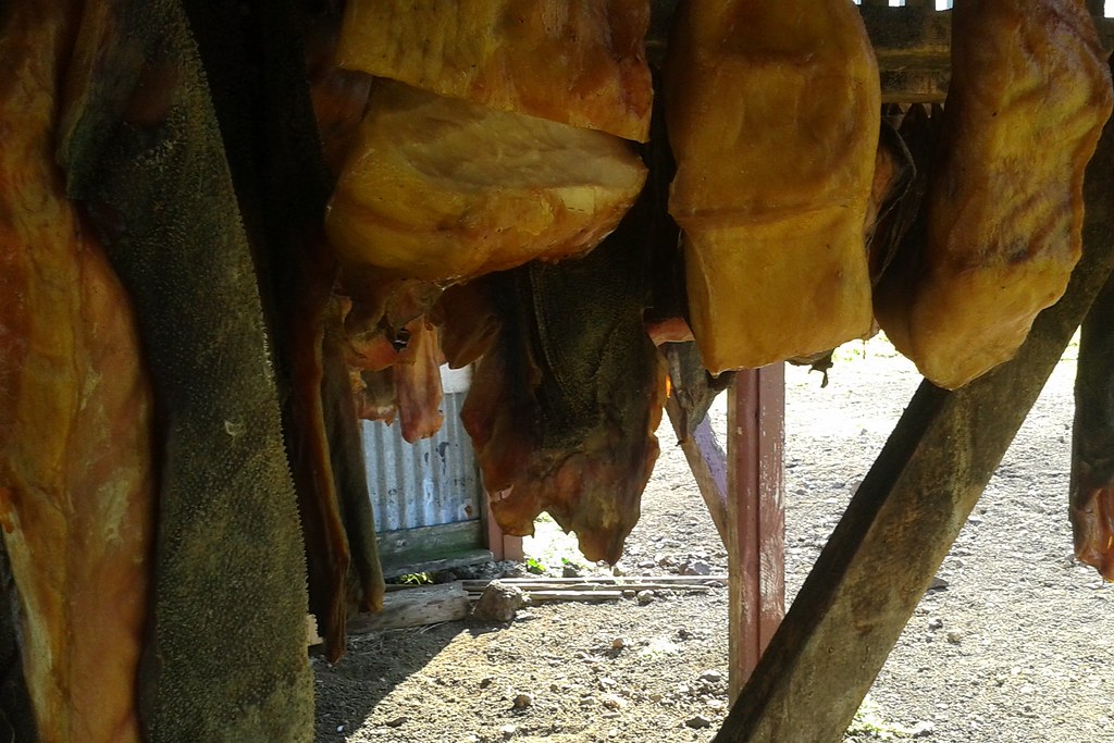 Greenland shark meat drying after fermentation By fermenta… Flickr