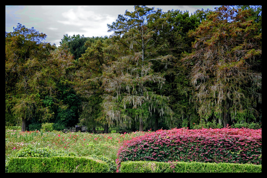 Elevation of Langley Rd, Orangeburg, SC, USA Topographic Map