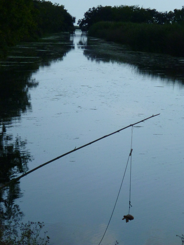 Elevation of Front Ridge Rd, Kaplan, LA, USA Topographic Map