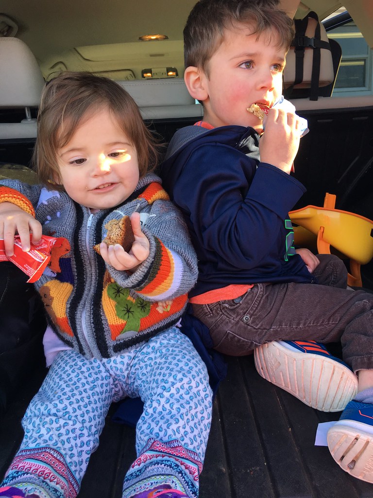 Elevation of Mill Cove, NB E4C 3C6, Canada Topographic Map Altitude Map