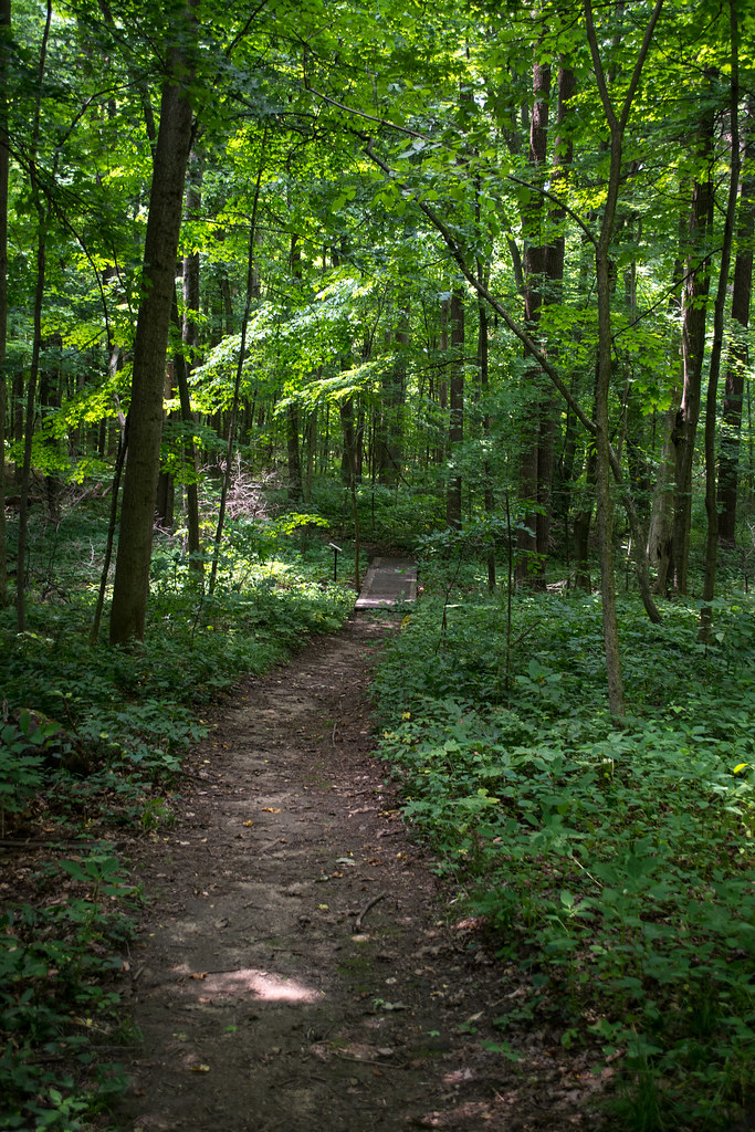 toward the creek Eagle Creek State Nature Preserve a photo on