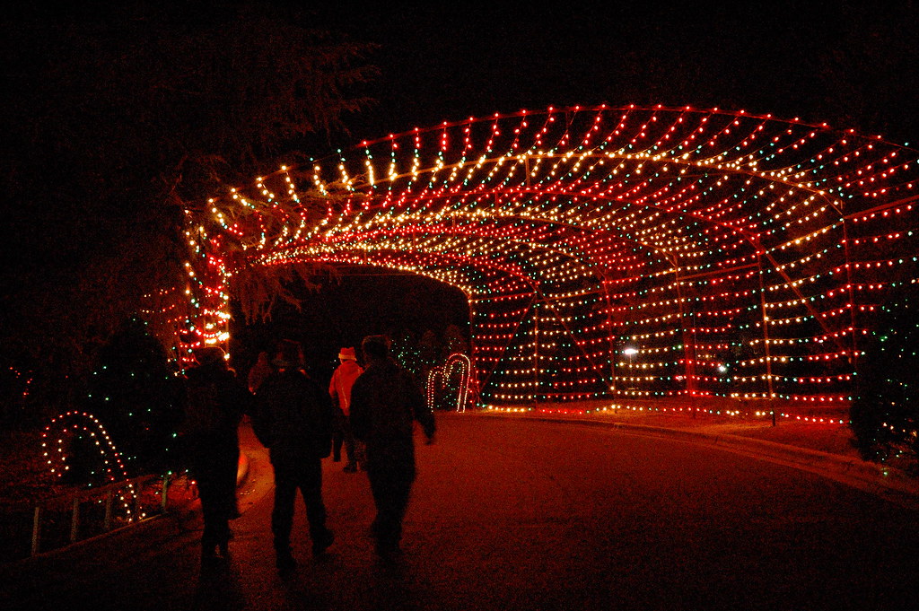 tunnel of lights Austin Trail of LIghts Flickr