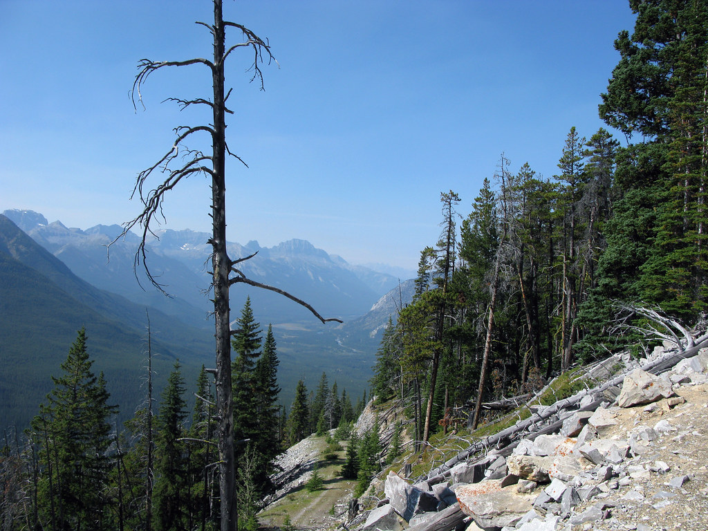 The road down Sulphur mountain This disused road running d… Flickr