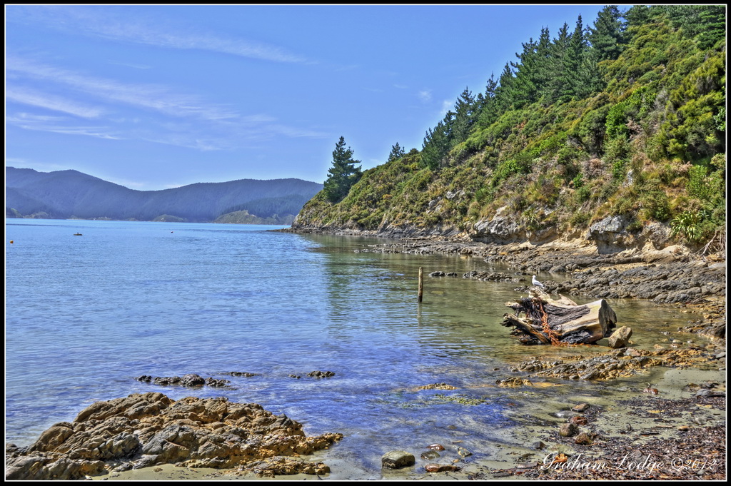 Ocean Bay Port Underwood, Marlborough, New Zealand Flickr