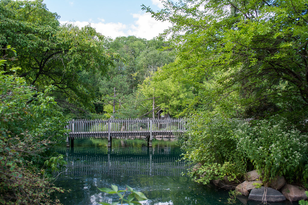 waterfowl lake Cleveland Metroparks Zoo Tim Evanson Flickr